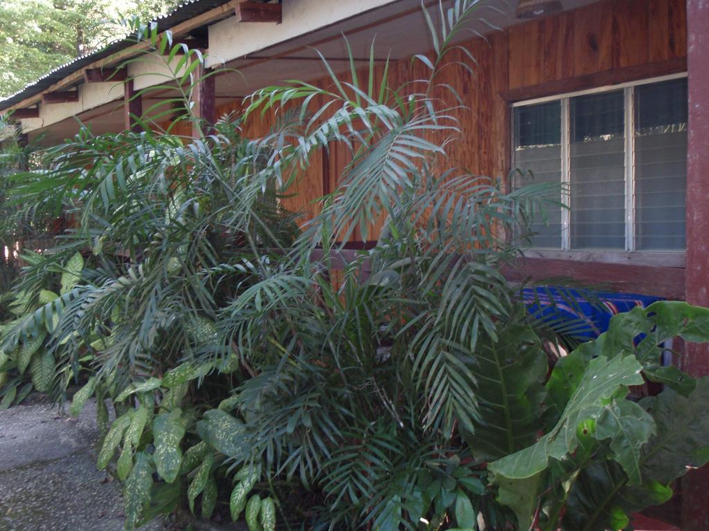 Guest House Posada Ixchel El Remate Room photo
