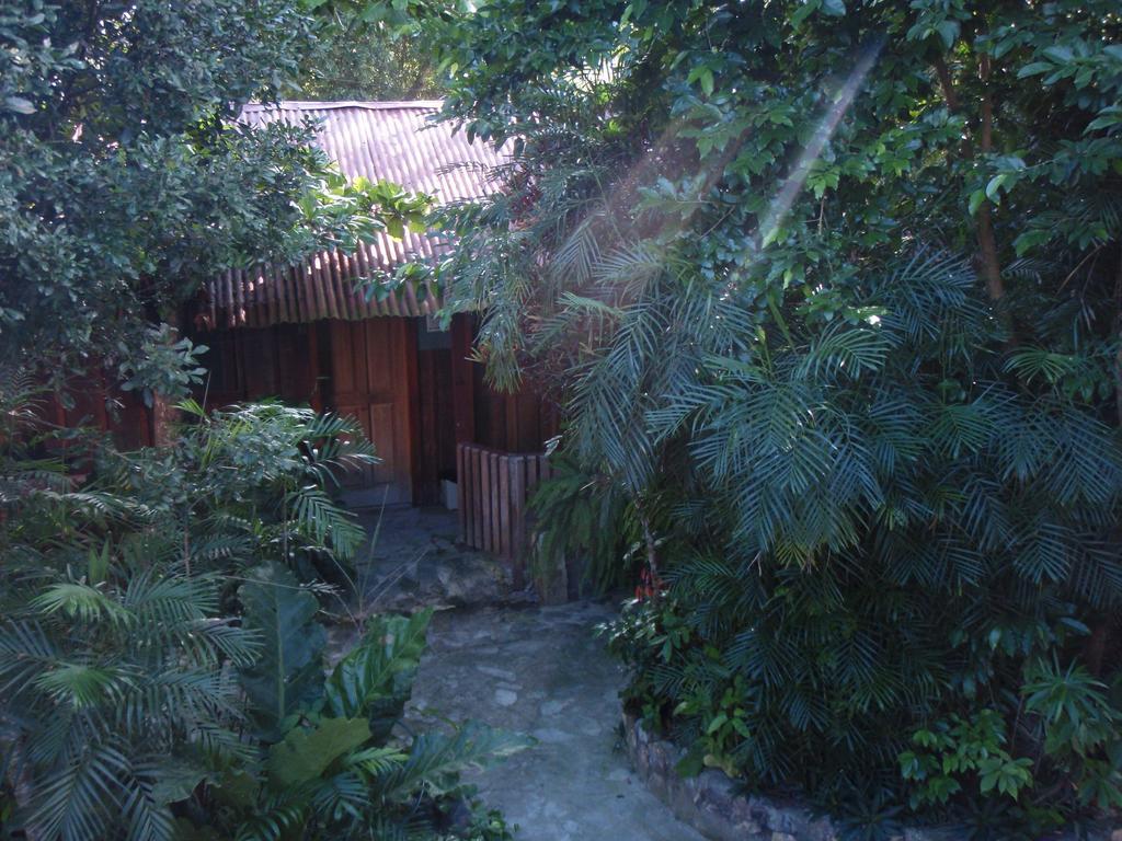 Guest House Posada Ixchel El Remate Exterior photo